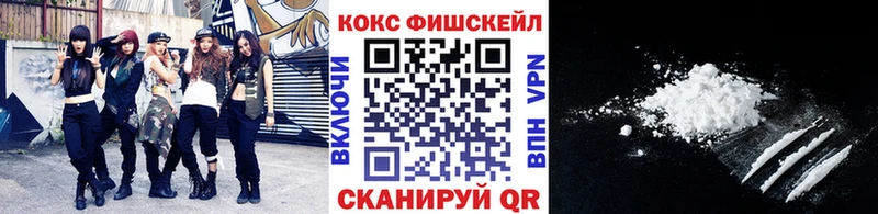 где купить наркоту Рошаль Кокаин Fish Scale