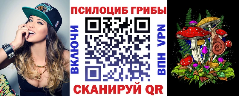 Псилоцибиновые грибы мицелий  хочу наркоту  Рошаль 